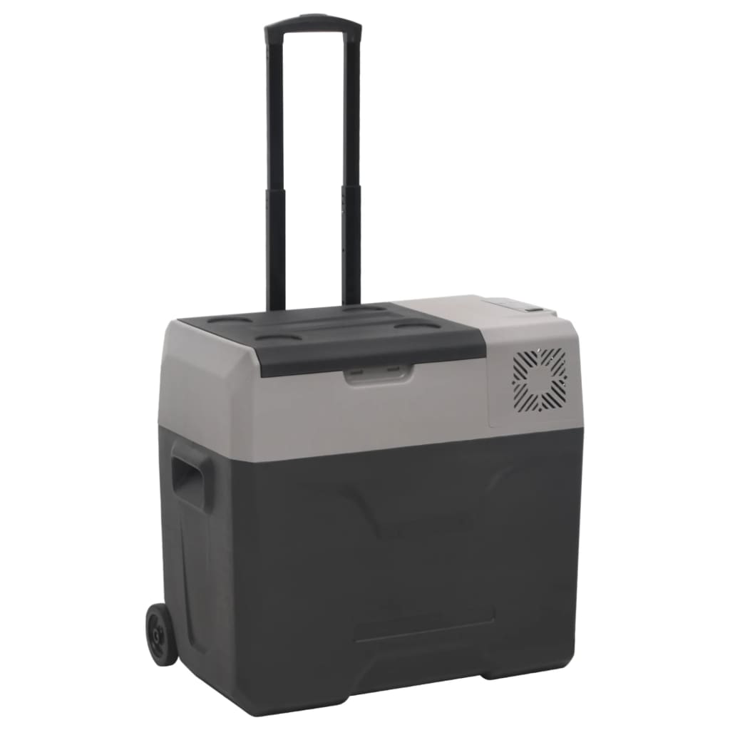 Kylbox Med Hjul Och Adapter Svart & Grå Polypropylen