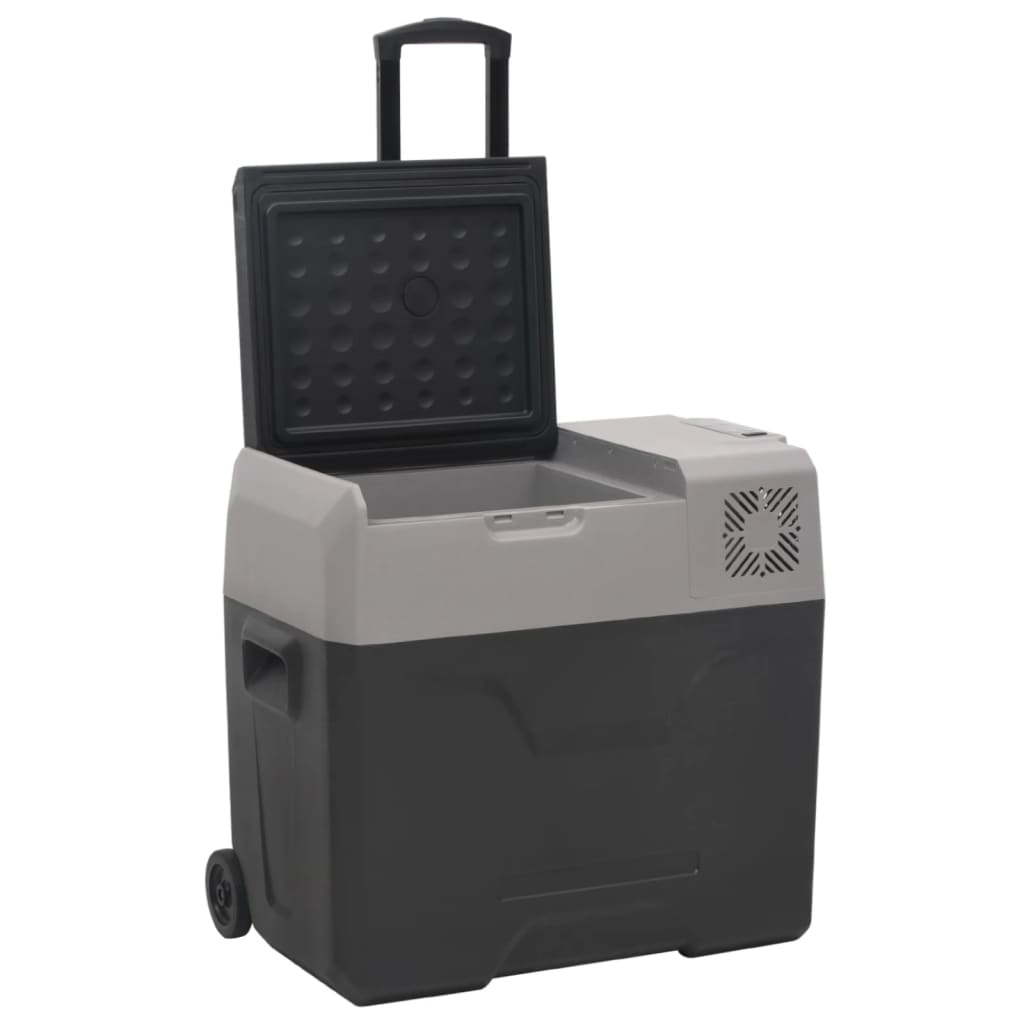 Kylbox Med Hjul Och Adapter Svart & Grå Polypropylen