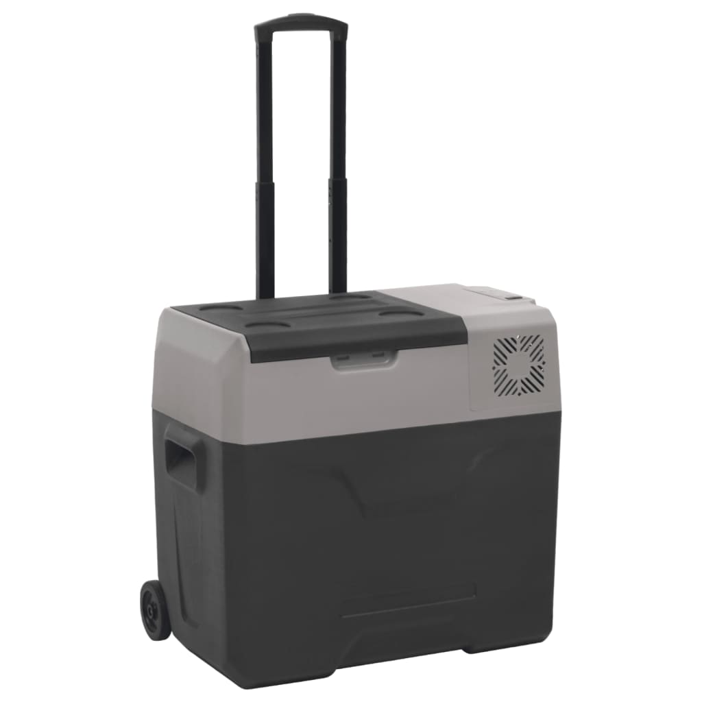 Kylbox Med Hjul Och Adapter Svart & Grå Polypropylen