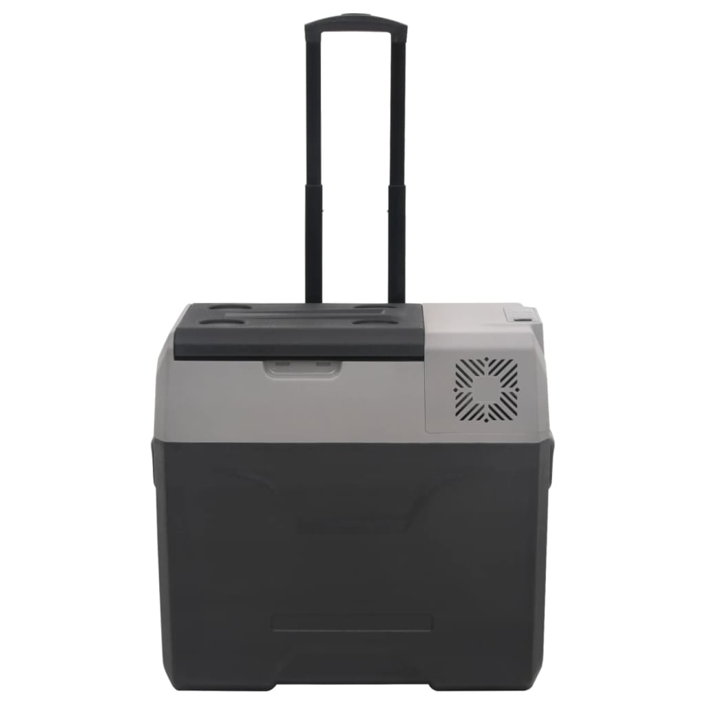 Kylbox Med Hjul Och Adapter Svart & Grå Polypropylen