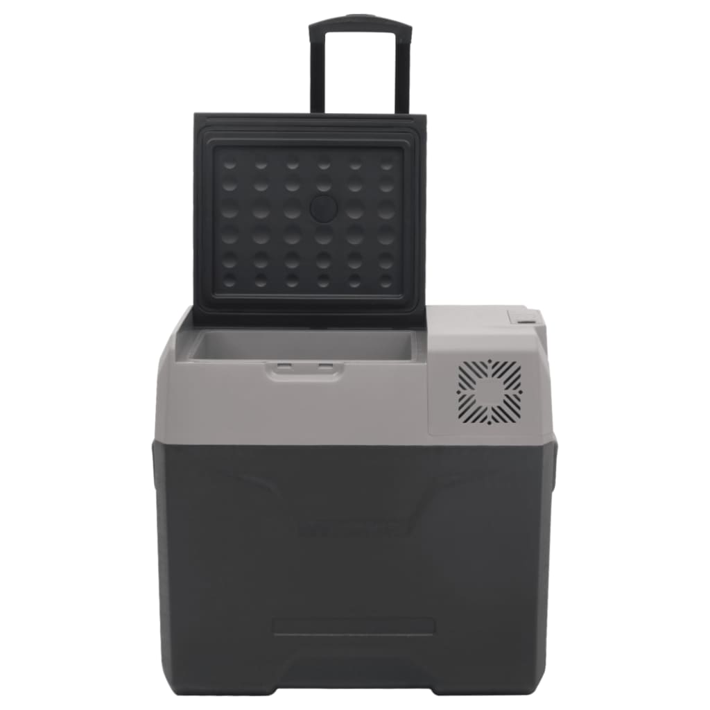 Kylbox Med Hjul Och Adapter Svart & Grå Polypropylen