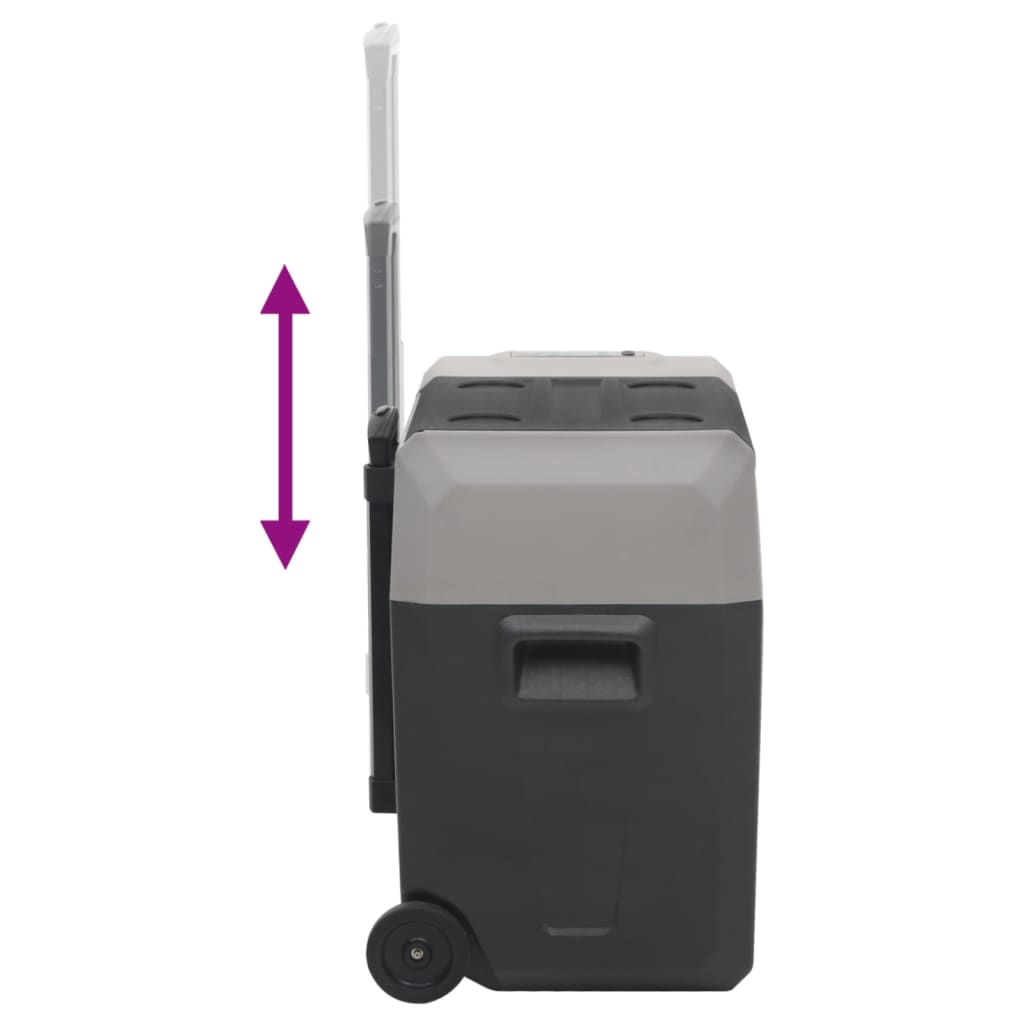 Kylbox Med Hjul Och Adapter Svart & Grå Polypropylen